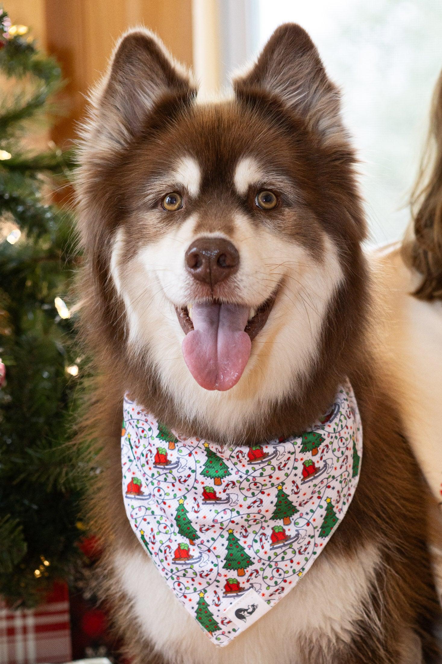 Howliday Cheer Dog Bandana-0