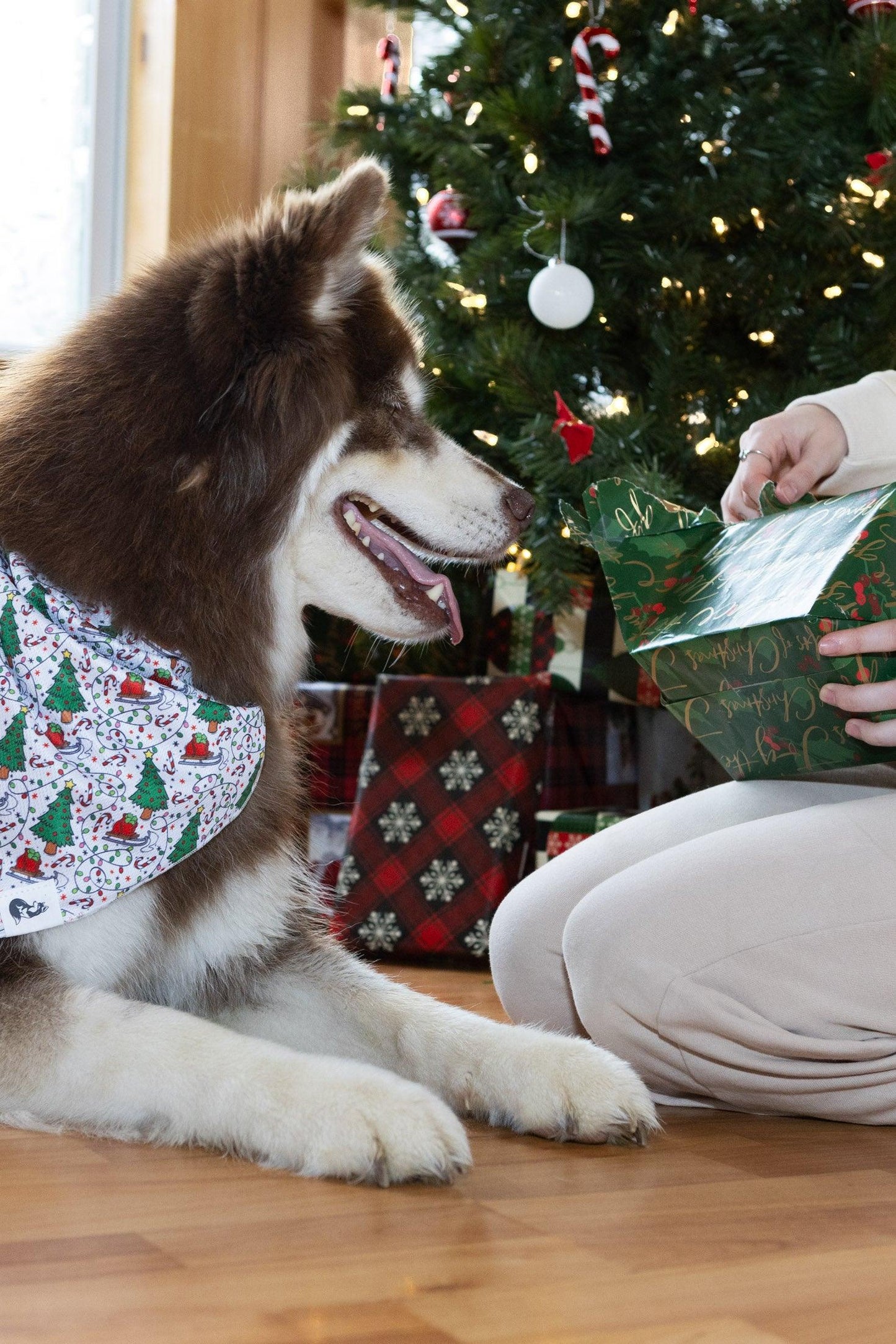 Howliday Cheer Dog Bandana-3